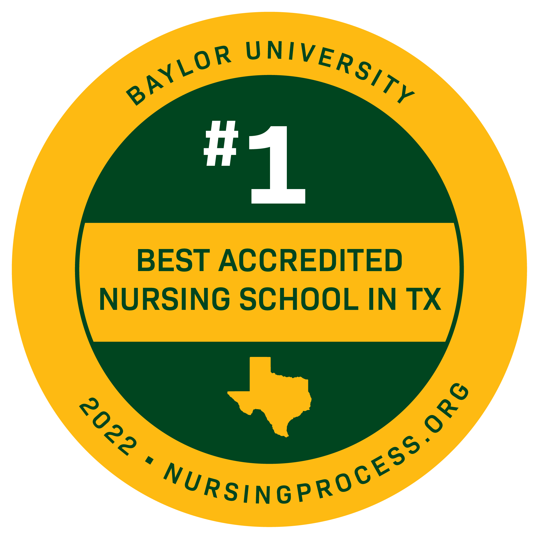 Best Nursing School logo