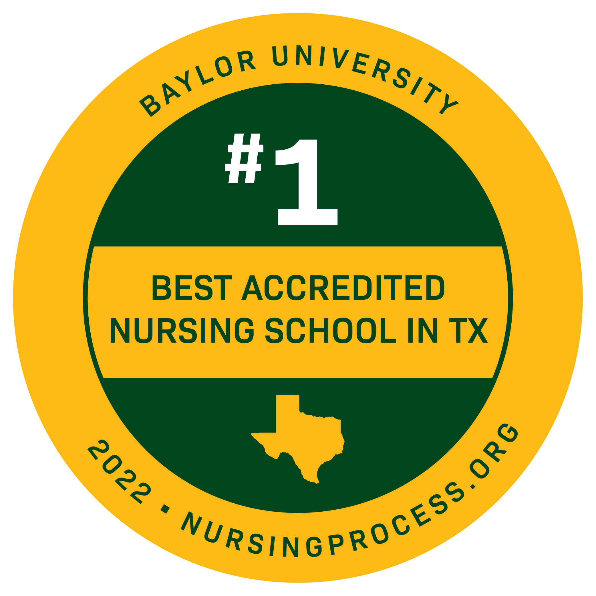 #1 best accredited nursing school in TX