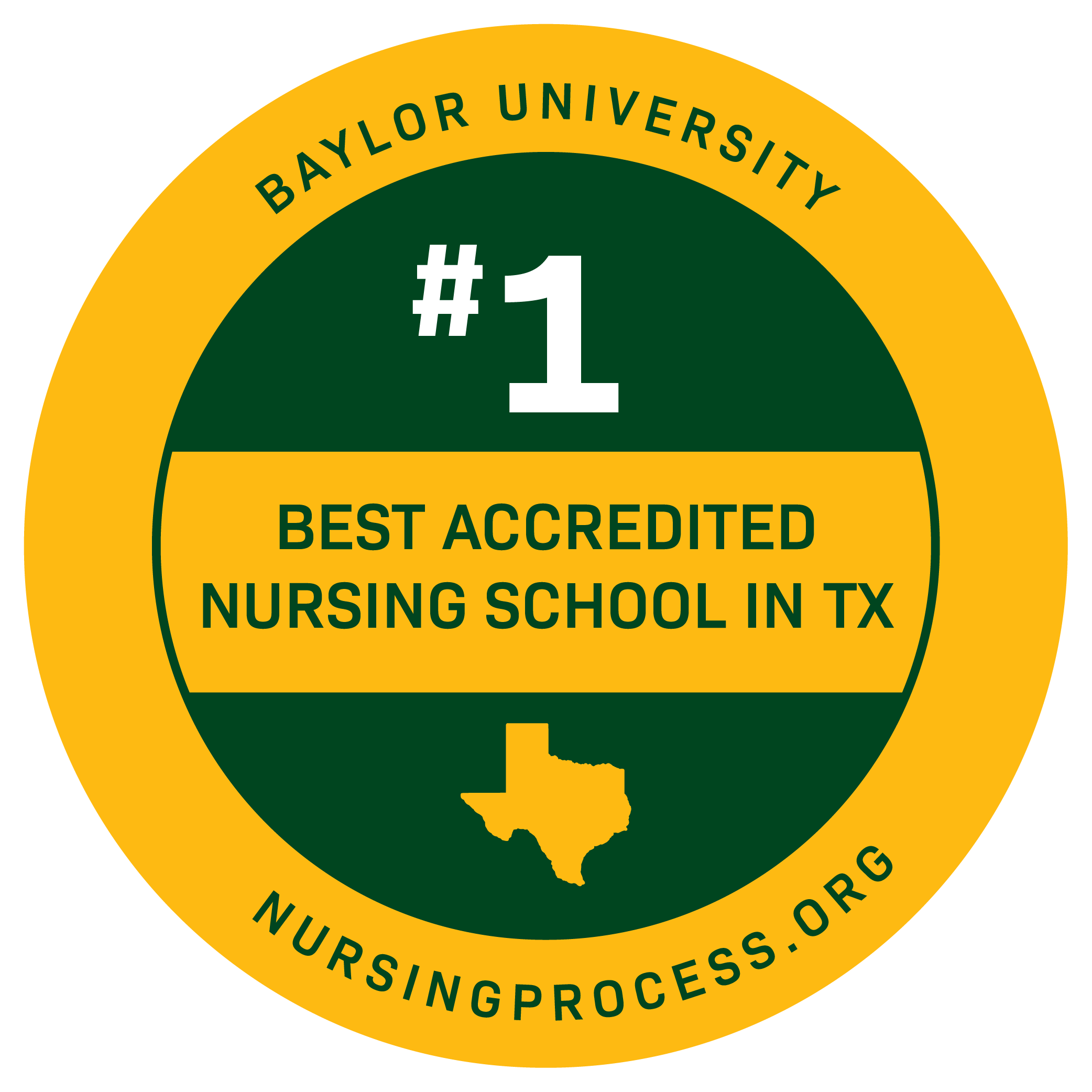 best accredited nursing school TX