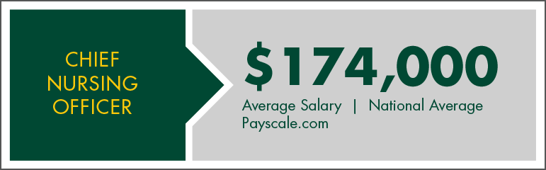 Online Masters in Nursing Salary