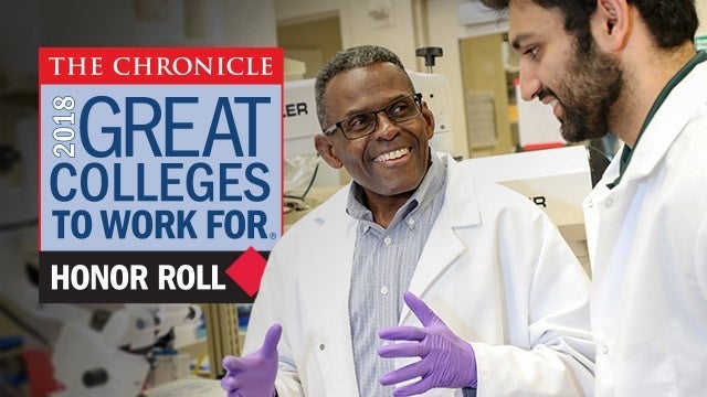 Great colleges to work for blog header